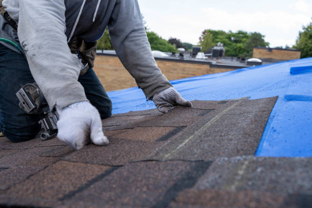 Best Roof Gutter Cleaning  in Dellwood, MN