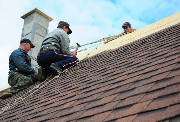Roof Repair Estimates in Dellwood, MN